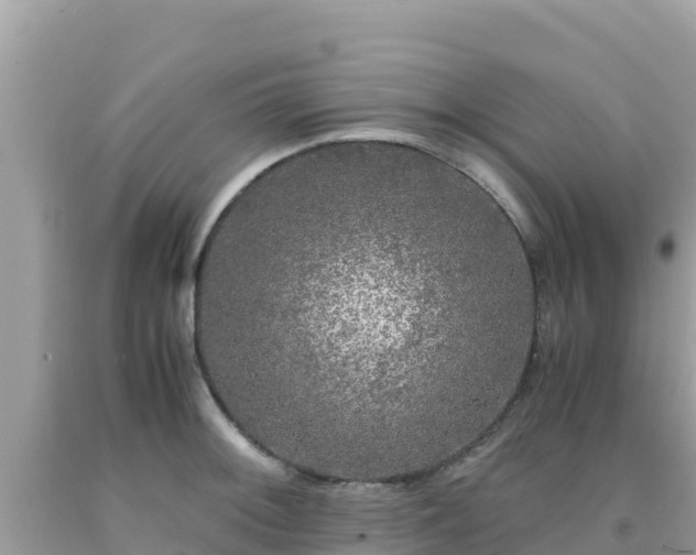 X0000092021092200709131551