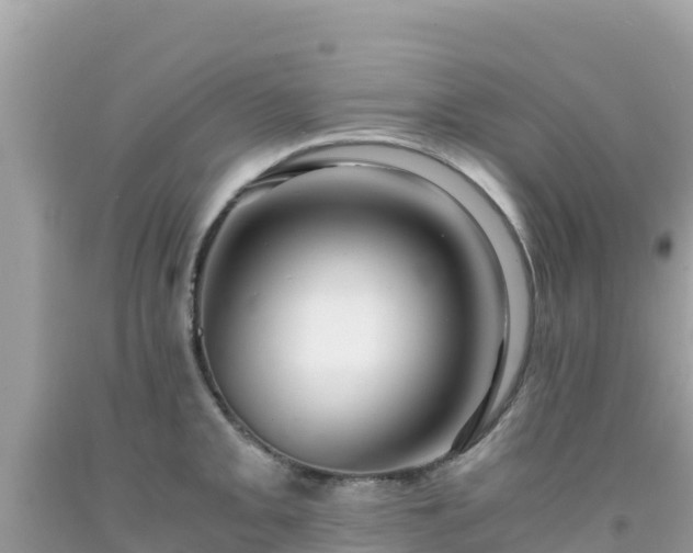 X0000092021093200709131551