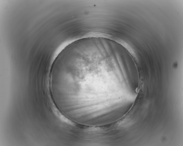 X0000092021094200709131551