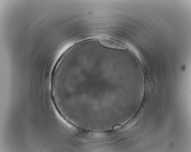 X0000092021095200709131551