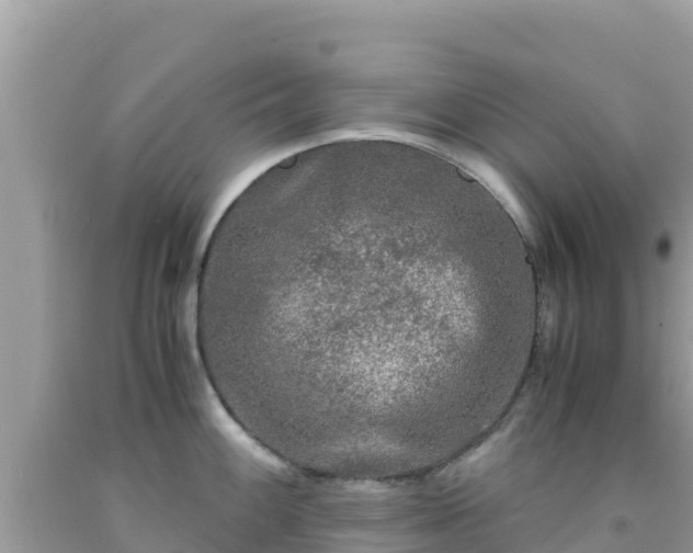 X0000092021100200709131551