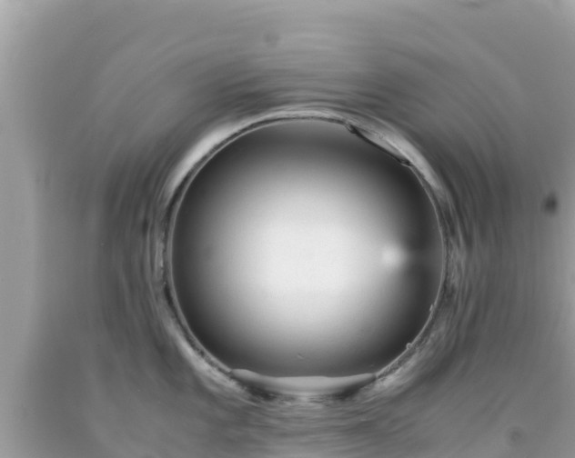X0000092021101200709131551