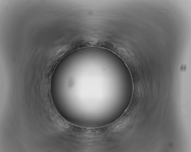 X0000092021105200709131550
