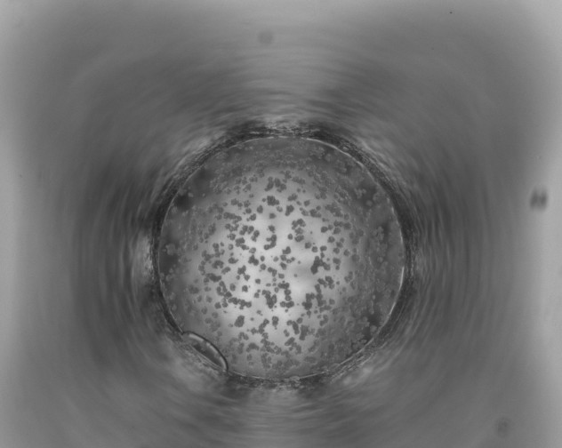 X0000092021106200709131550