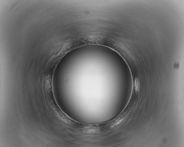 X0000092021107200709131550