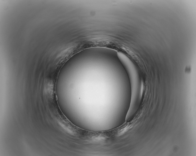 X0000092021108200709131550