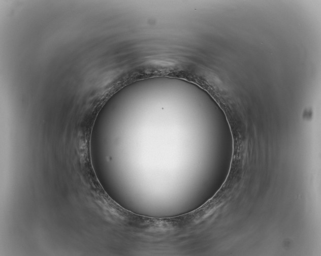 X0000092021109200709131550