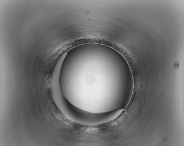 X0000092021110200709131550