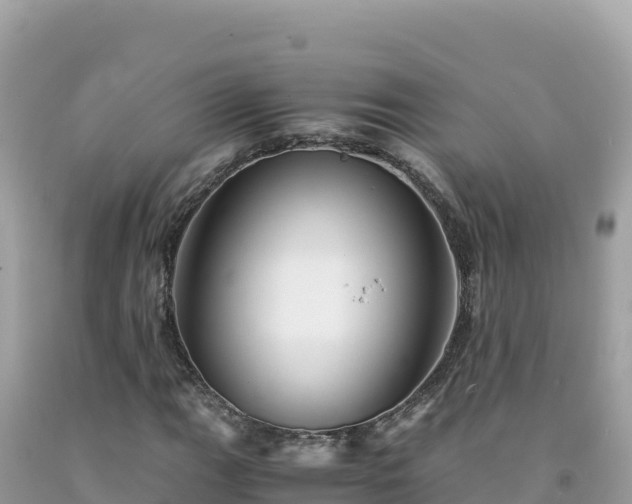 X0000092021111200709131550