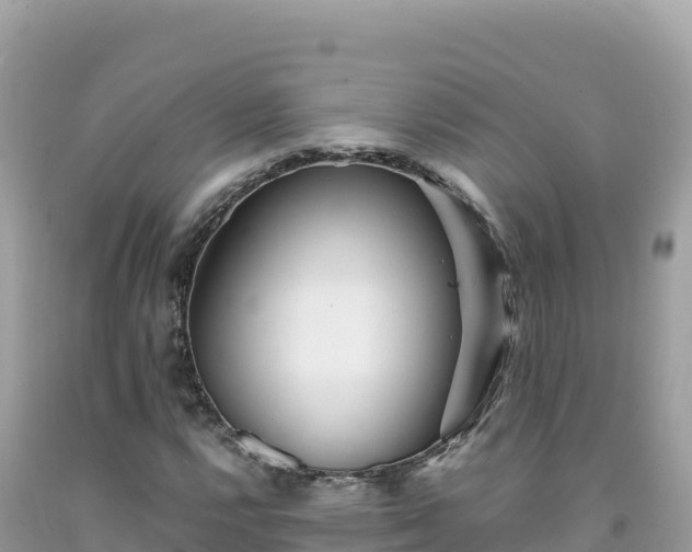 X0000092021112200709131550