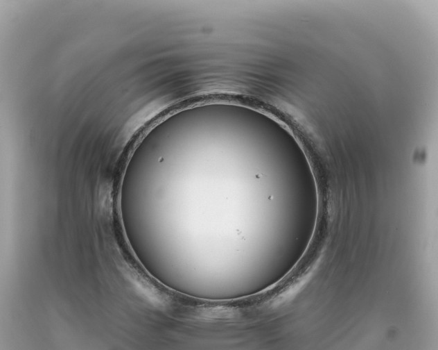 X0000092021113200709131550