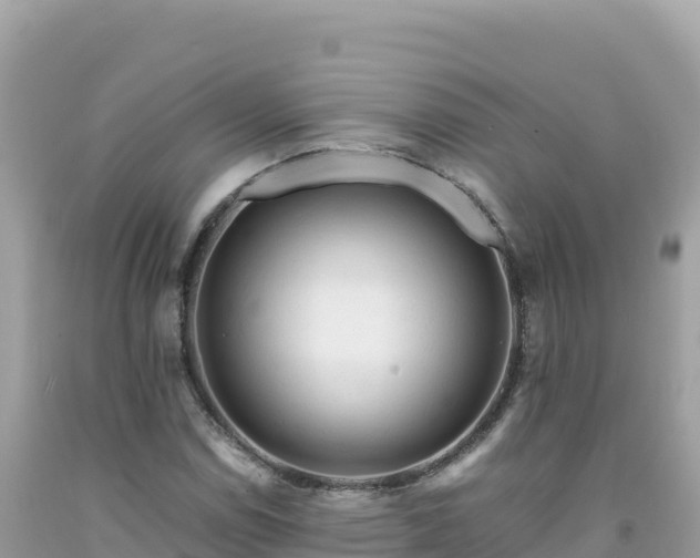 X0000092021114200709131550
