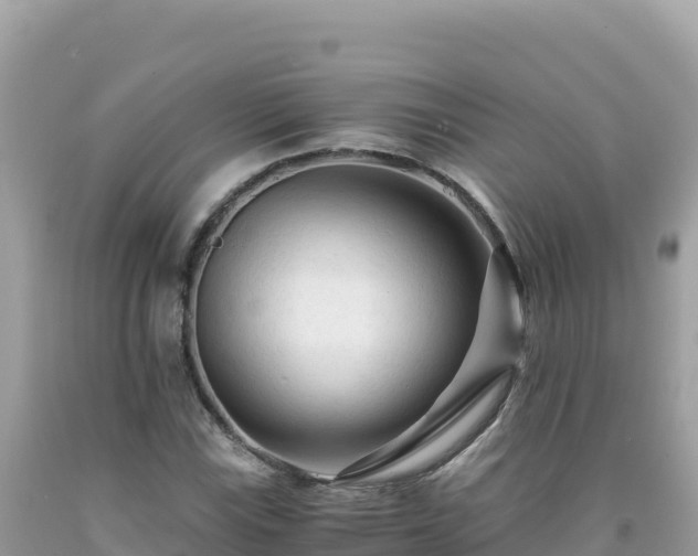 X0000092021115200709131550