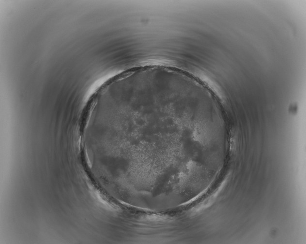 X0000092021117200709131550