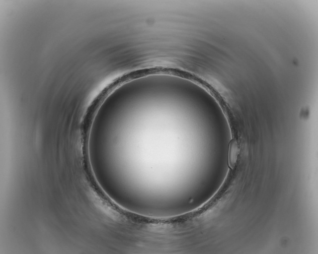 X0000092021118200709131550