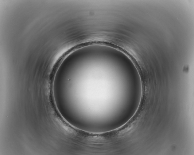 X0000092021119200709131550