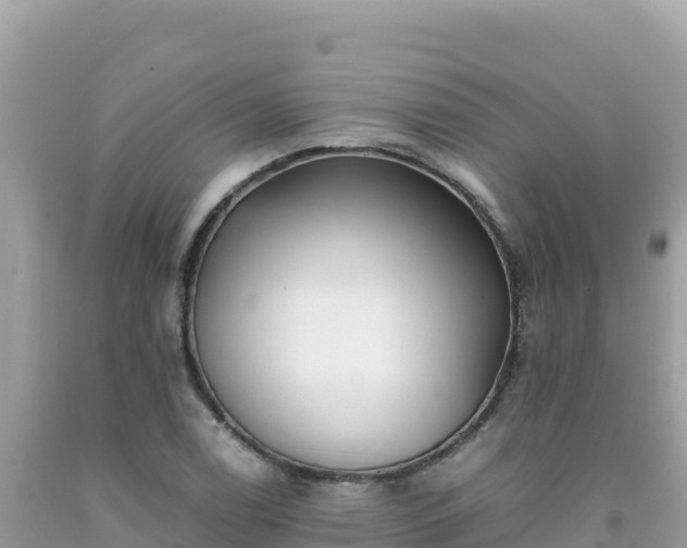 X0000092021122200709131550