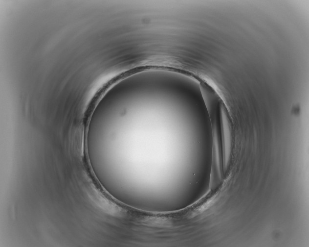 X0000092021123200709131550