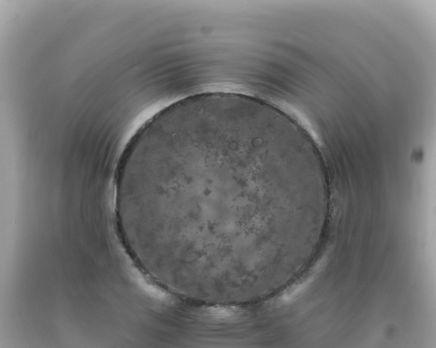 X0000092021125200709131550
