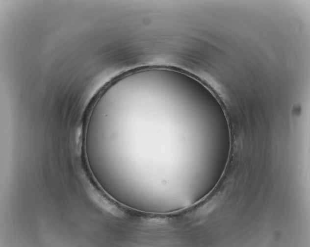 X0000092021126200709131550