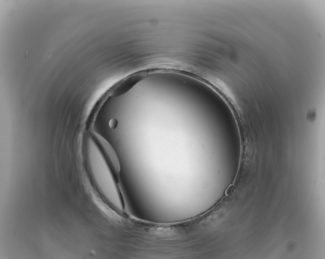 X0000092021128200709131550