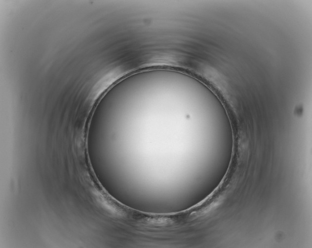 X0000092021129200709131550