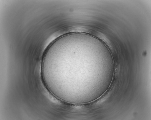 X0000092021130200709131550