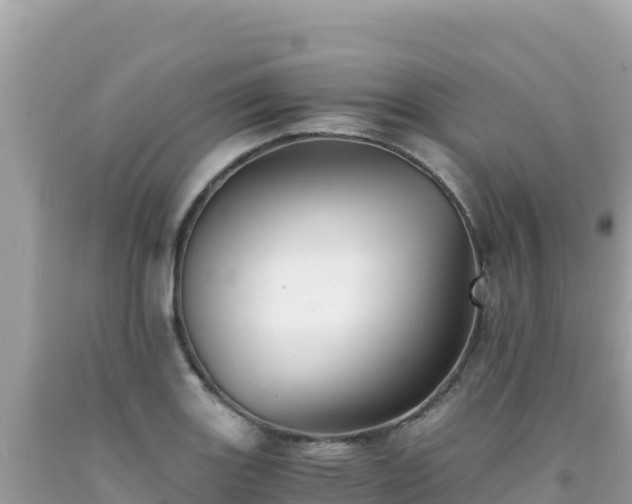 X0000092021131200709131550