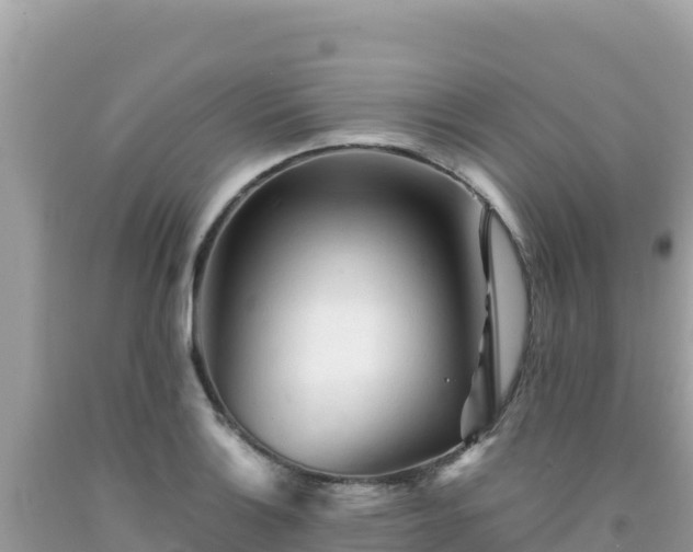 X0000092021132200709131550
