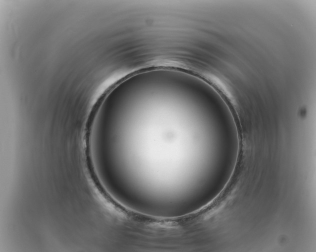X0000092021133200709131550