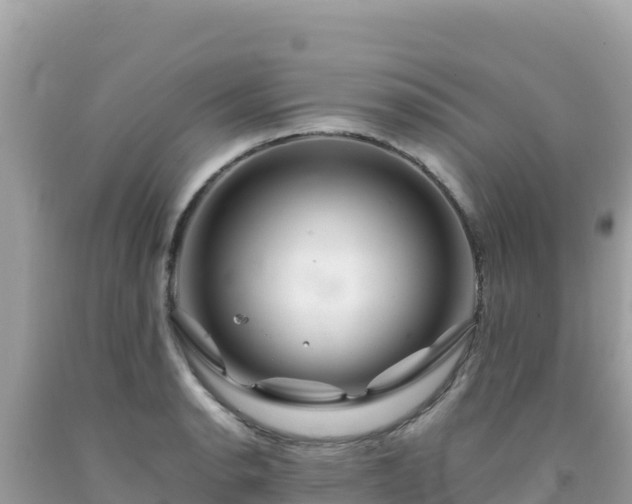 X0000092021134200709131550
