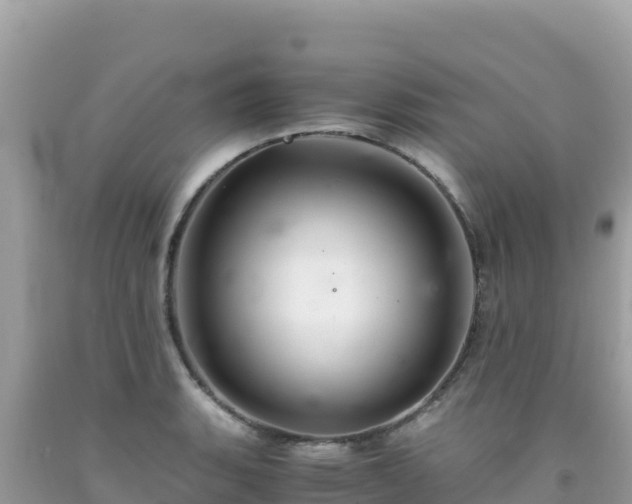X0000092021135200709131550