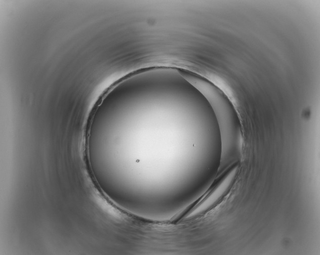 X0000092021136200709131550