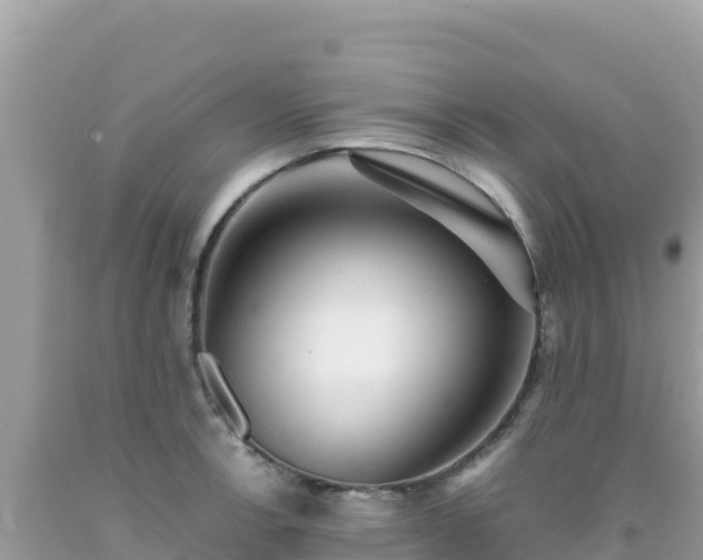 X0000092021138200709131550