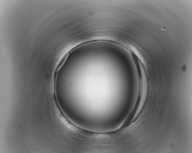 X0000092021140200709131550