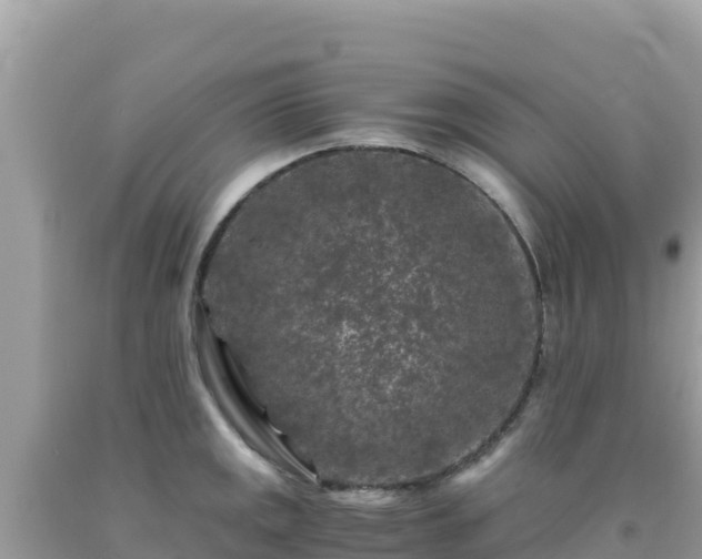 X0000092021141200709131550