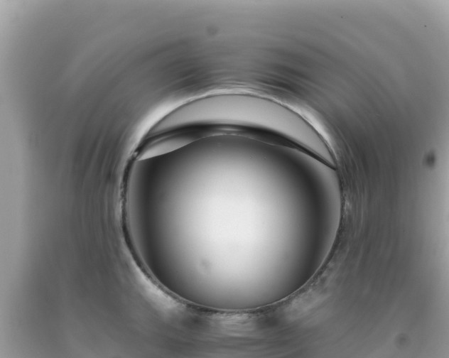 X0000092021143200709131550