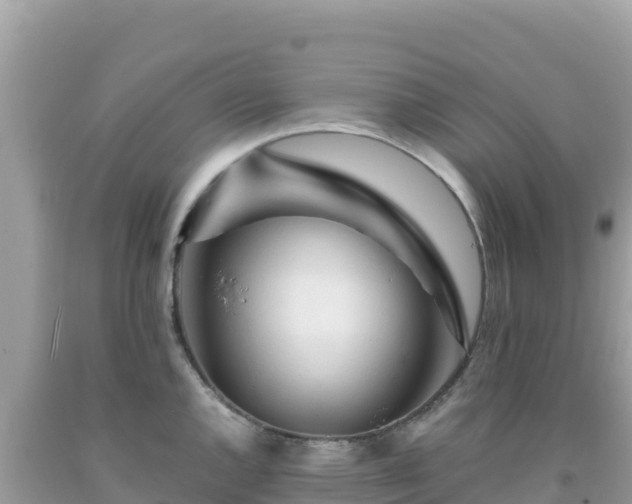 X0000092021144200709131550