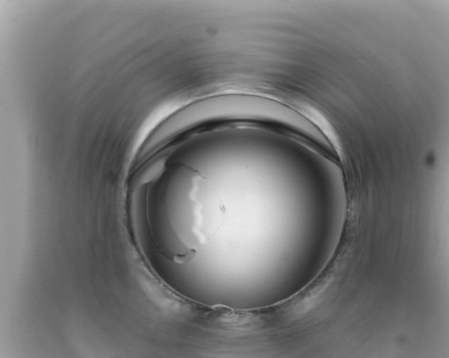 X0000092021146200709131550