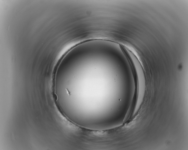 X0000092021147200709131550