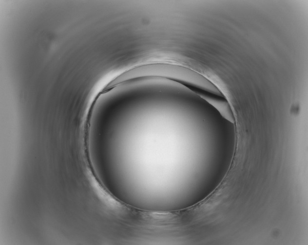 X0000092021152200709131551