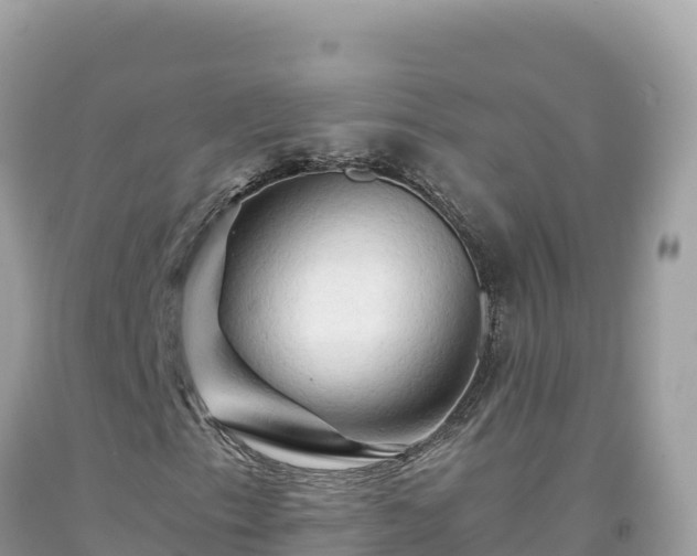 X0000092021153200709131550