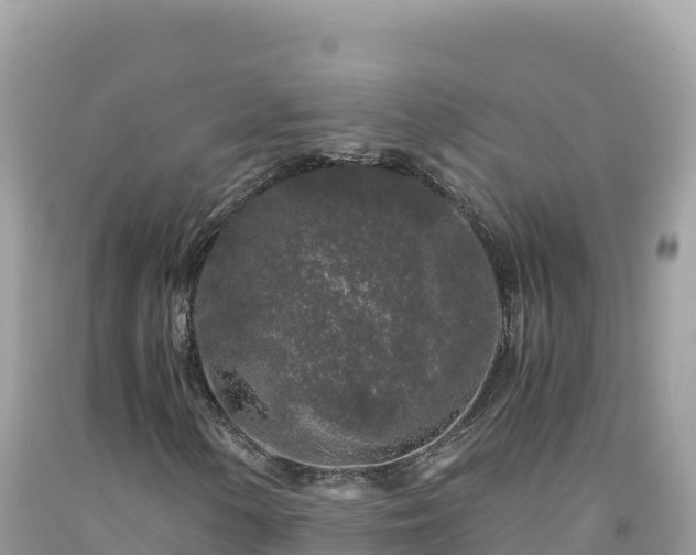 X0000092021154200709131550