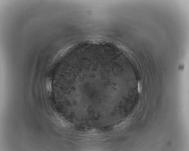 X0000092021155200709131550