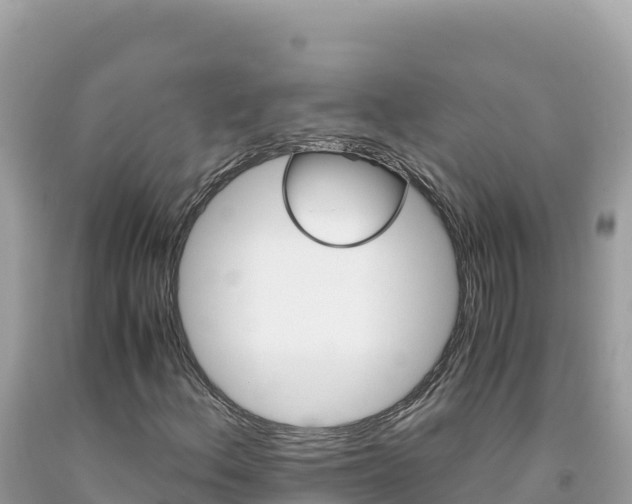 X0000092021156200709131550