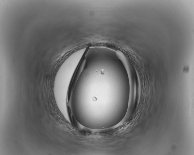 X0000092021157200709131550