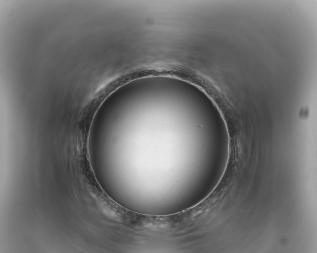 X0000092021158200709131550