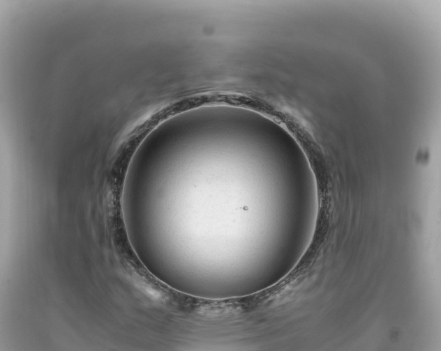 X0000092021159200709131550