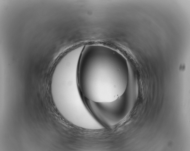 X0000092021160200709131550