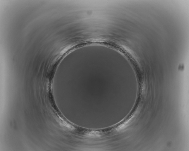 X0000092021161200709131550